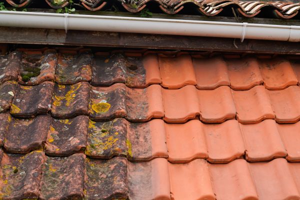 Industrial Roof Cleaning in Port Charlotte